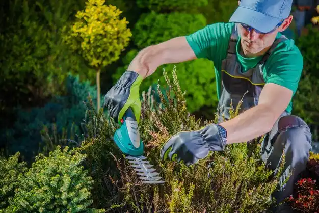 landscaping services Coopersville